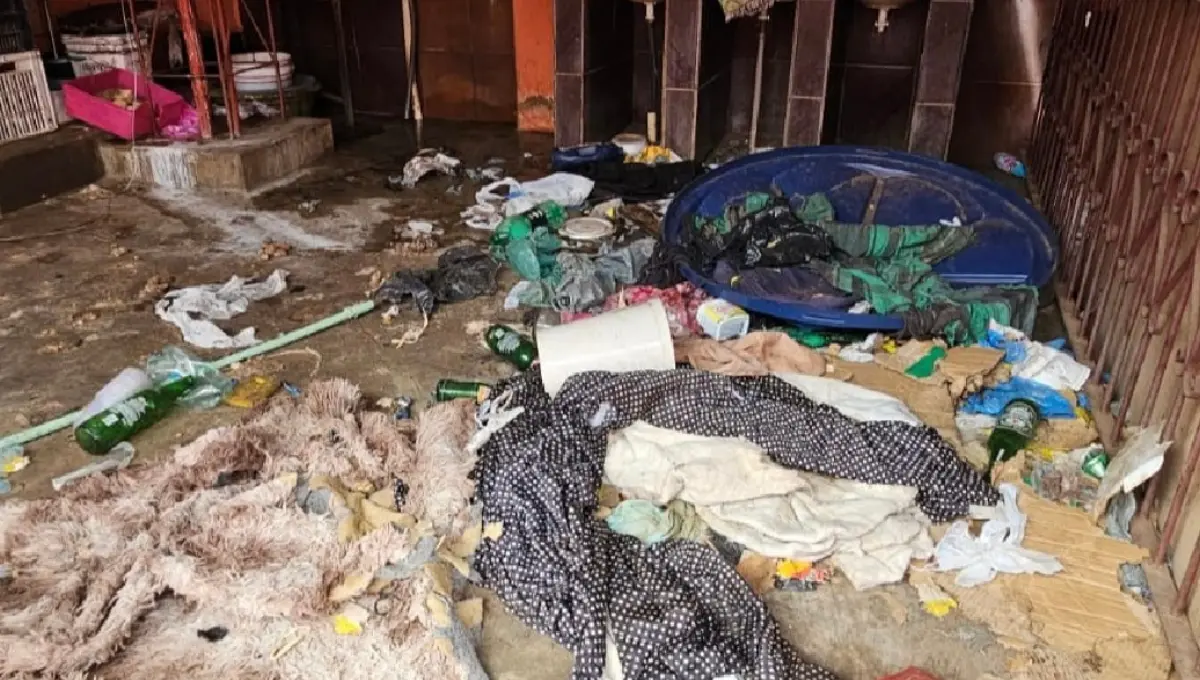 policia-resgata-caes-presos-em-casa-imunda-sem-agua-e-comida,-em-goiania