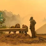 governo-brasileiro-monitora-incendios-no-sul-do-chile,-diz-itamaraty