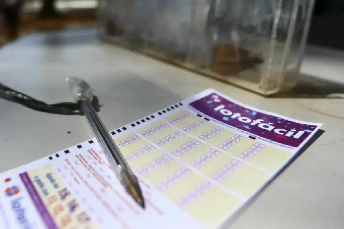 concurso-3591-da-lotofacil:-veja-resultado-e-premios-que-sairam-para-goias