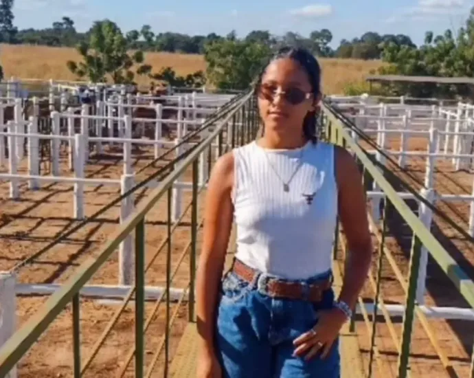 amigo-da-familia-confessa-assassinato-de-beatryz-emilly-em-britania;-audio