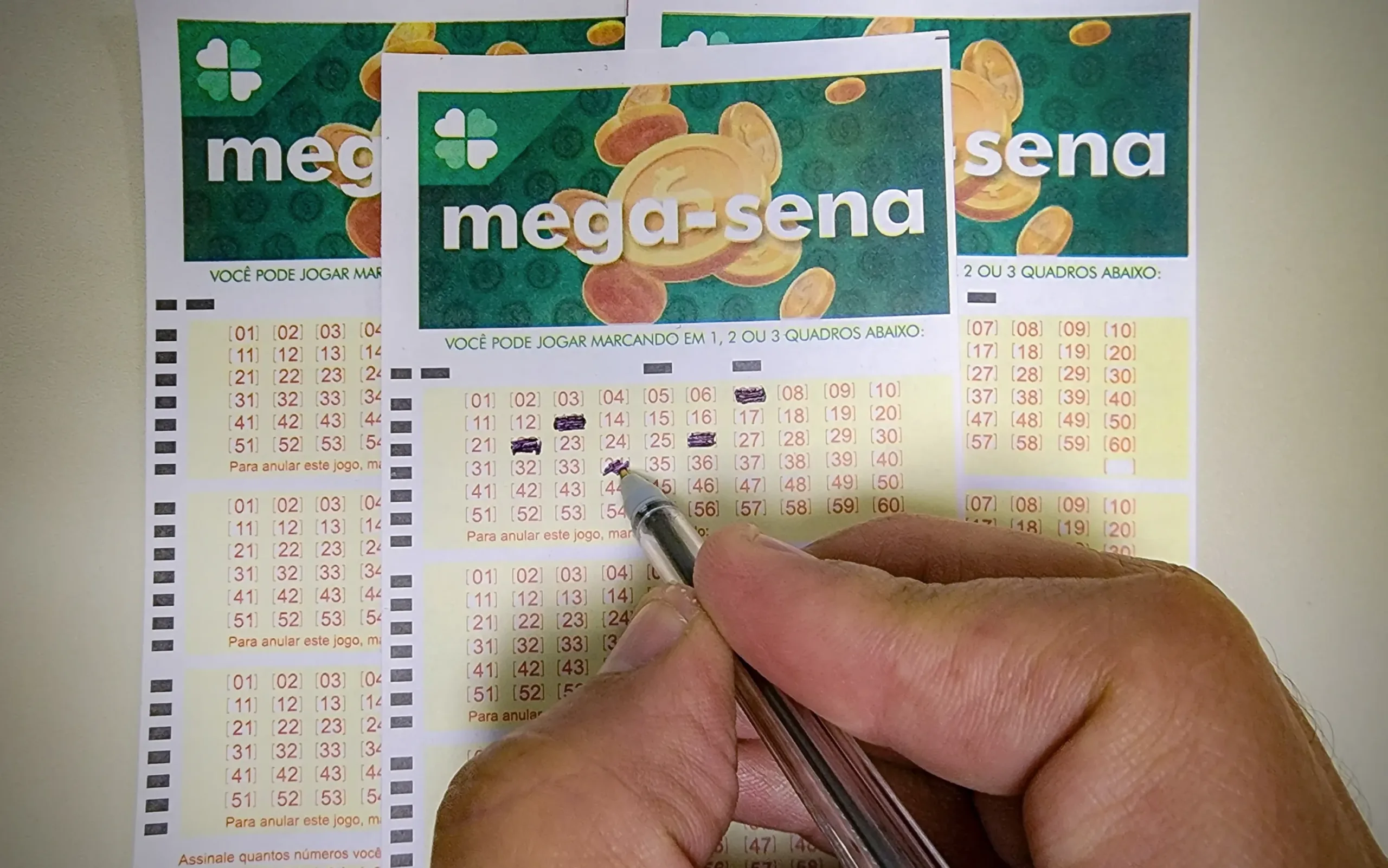 concurso-2962-da-mega-sena:-bilhete-de-goiania-com-nove-numeros-ganha-r$-121-mil