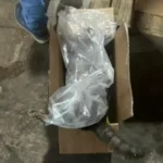 gerente-de-supermercado-contrata-empresa-para-envenenar-gatos-em-mineiros