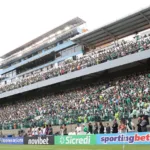 palmeiras-x-sao-paulo:-veja-parcial-de-ingressos-vendidos-para-jogo-do-paulistao-–-nosso-palestra