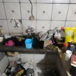 criancas-vitimas-de-maus-tratos-sao-resgatadas-em-aparecida-de-goiania