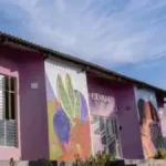 ex-diretoras-do-cevam-e-empresario-sao-condenados-por-desviar-r$-1,2-milhao-em-recursos-publicos