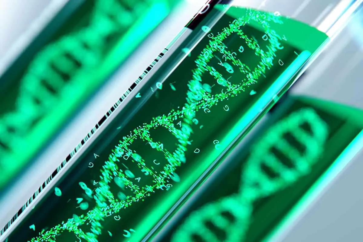 alphagenome:-nova-ia-do-google-pode-decodificar-‘genoma-escondido’-–-olhar-digital