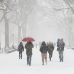 e-#fake-video-de-arvore-congelada-‘explodindo’-durante-nevasca-nos-eua;-cena-foi-feita-com-ia