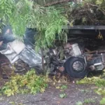 duas-pessoas-morrem-apos-caminhao-sair-da-pista-e-pegar-fogo-em-santa-tereza-de-goias