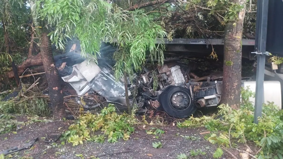 duas-pessoas-morrem-apos-caminhao-sair-da-pista-e-pegar-fogo-em-santa-tereza-de-goias