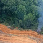 desmatamento-cai-9%-na-amazonia-e-no-cerrado-em-2025