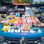 delegada-presa-por-furto-no-alphaville-de-goiania-perdeu-a-filha-e-tem-doenca-mental,-diz-sindicato