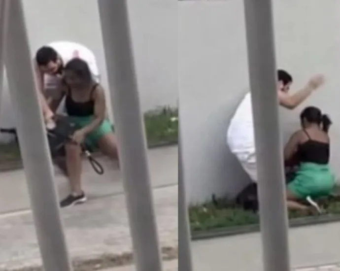 Briga entre tutores de cães termina em agressão física na Bahia 14 briga-entre-tutores-de-caes-termina-em-agressao-fisica-na-bahia