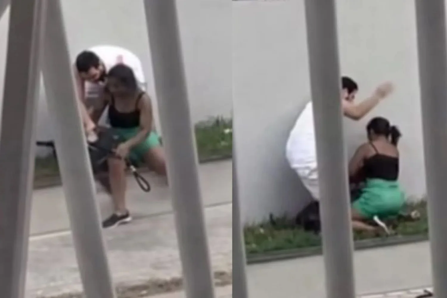 briga-entre-tutores-de-caes-termina-em-agressao-fisica-na-bahia