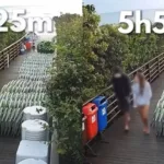 veja-jovem-voltando-para-casa-apos-agredir-cao-orelha