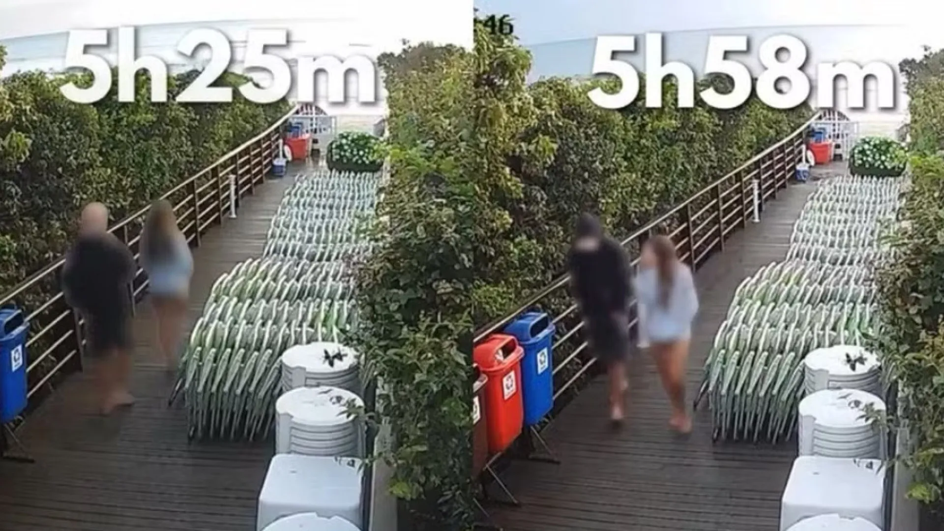 veja-jovem-voltando-para-casa-apos-agredir-cao-orelha