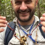 fungo-do-“the-last-of-us”-e-identificado-em-tarantula-na-amazonia