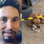 video:-cachorro-se-recusa-a-sair-da-porta-de-borracharia-apos-tutor-ser-morto-em-anapolis