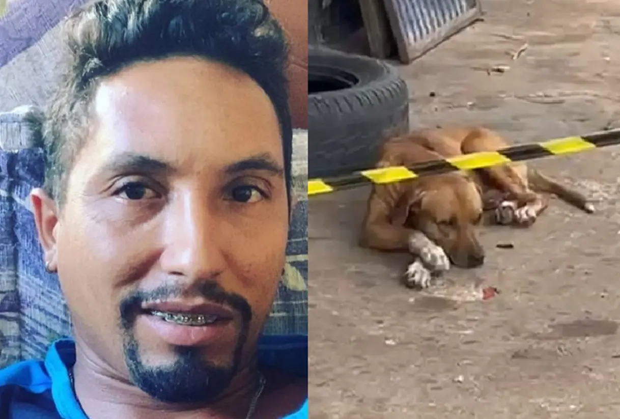 video:-cachorro-se-recusa-a-sair-da-porta-de-borracharia-apos-tutor-ser-morto-em-anapolis