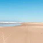 em-pre-carnaval,-litoral-de-sp-tem-38-praias-improprias-para-banho