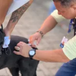 apos-confirmacao-de-morcego-com-virus-da-raiva-em-goiania,-sms-emite-alerta-sobre-vacinacao