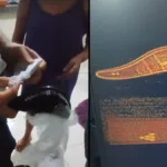 correios-encontram-medicamento-abortivo-em-escovas-de-cabelo-enviadas-a-cidades-de-goias