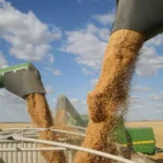 processadoras-de-soja-deixam-acordo-sobre-desmatamento-na-amazonia