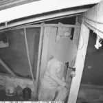 ajudante-de-pedreiro-e-preso-por-furtar-galinhas-em-granja-de-itaberai:-‘nao-precisava’