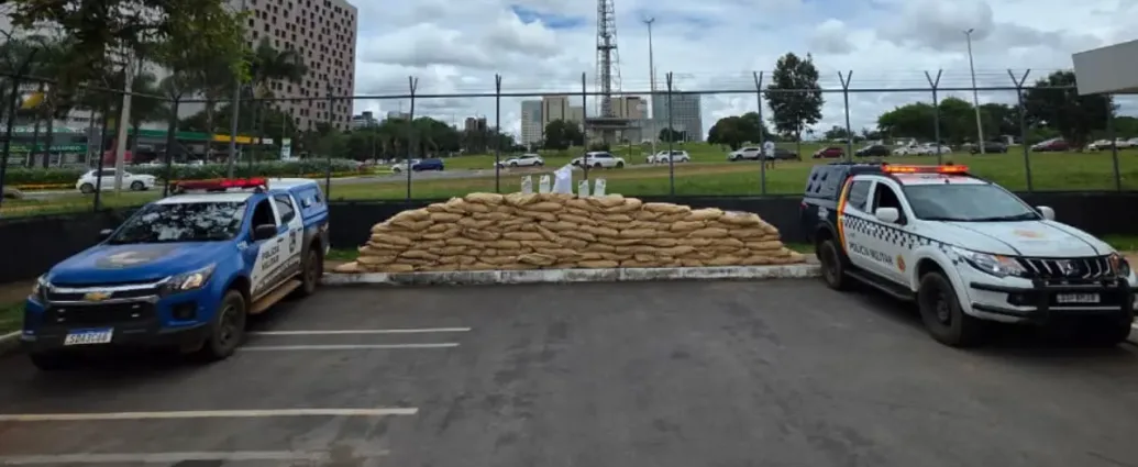 operacao-apreende-tres-toneladas-de-agrotoxicos-contrabandeados-da-china-em-goias