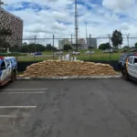 operacao-apreende-tres-toneladas-de-agrotoxicos-contrabandeados-da-china-em-goias