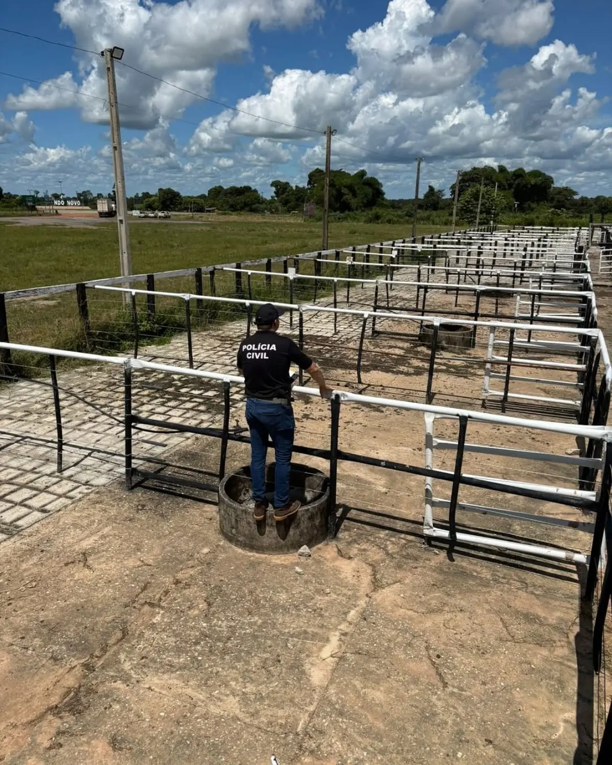 policia-civil-prende-tres-suspeitos-de-fraudar-leiloes-de-gado-em-sao-miguel-do-araguaia