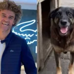 Sobrinho de Guga será ouvido em investigação sobre o caso Orelha 12 sobrinho-de-guga-sera-ouvido-em-investigacao-sobre-o-caso-orelha