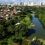 Queda da energia puxa inflação de Goiânia para baixo da média nacional em dezembro 1 queda-da-energia-puxa-inflacao-de-goiania-para-baixo-da-media-nacional-em-dezembro