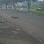 entregador-por-aplicativo-e-arremessado-apos-ser-atingido-por-carro-no-parque-das-flores,-em-goiania