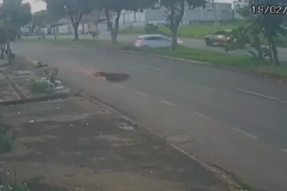 entregador-por-aplicativo-e-arremessado-apos-ser-atingido-por-carro-no-parque-das-flores,-em-goiania