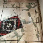 apos-fim-de-casamento-de-30-anos,-homem-incendeia-pertences-da-filha-para-intimidar-ex-em-rio-verde