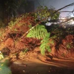 litoral-norte:-rodovias-sao-interditadas-em-sp-apos-deslizamentos-–-cnn-brasil