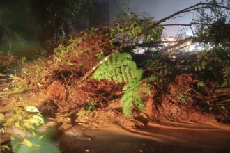 litoral-norte:-rodovias-sao-interditadas-em-sp-apos-deslizamentos-–-cnn-brasil