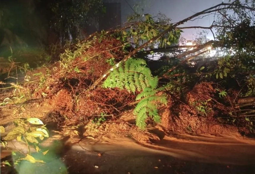 litoral-norte:-rodovias-sao-interditadas-em-sp-apos-deslizamentos-–-cnn-brasil