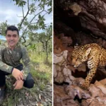 medico-troca-jaleco-por-trilhas-para-mapear-oncas-no-cerrado-goiano