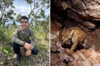 medico-troca-jaleco-por-trilhas-para-mapear-oncas-no-cerrado-goiano