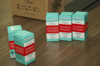 mais-goias-conversa-com-traficantes-de-cetamina-e-descobre-como-negociacao-acontece