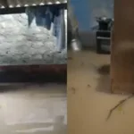 “nao-deu-para-salvar-nada”:-mae-relata-desespero-apos-enchente-em-jussara