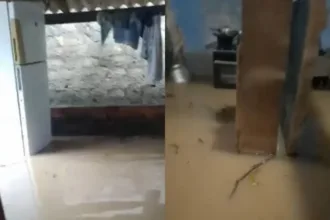 “nao-deu-para-salvar-nada”:-mae-relata-desespero-apos-enchente-em-jussara