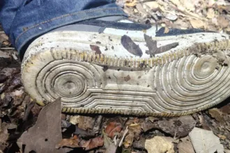 policia-goiana-fecha-cerco-para-localizar-ultimo-procurado-em-operacao-que-deixou-seis-mortos