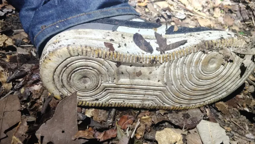 policia-goiana-fecha-cerco-para-localizar-ultimo-procurado-em-operacao-que-deixou-seis-mortos