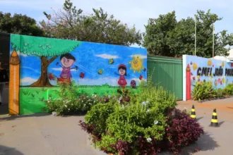 goiania-lidera-deficit-de-vagas-na-educacao-infantil-em-goias;-veja-ranking
