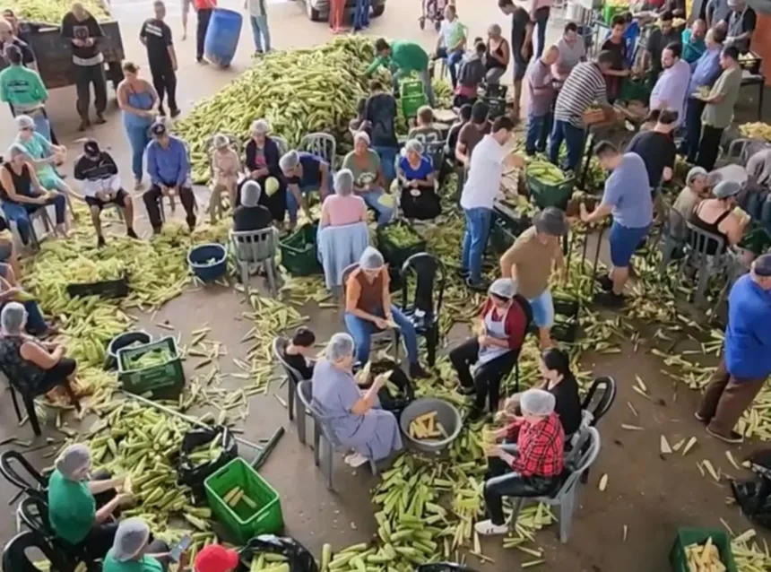 prefeitura-promove-‘pamonhada’-e-libera-colheita-de-milho-em-roca-comunitaria-de-bonfinopolis