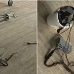 justica-toma-decisao-sobre-trio-que-usou-drone-para-lancar-granada-contra-casa-em-itaberai