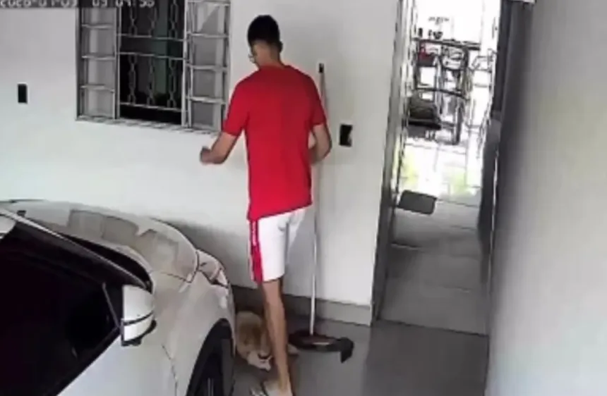 mulher-instala-cameras-em-casa-e-flagra-cadela-sendo-agredida-em-itaberai