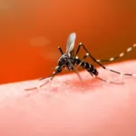 dengue:-numeros-de-2026-trazem-boa-noticia-para-quem-mora-em-goiania